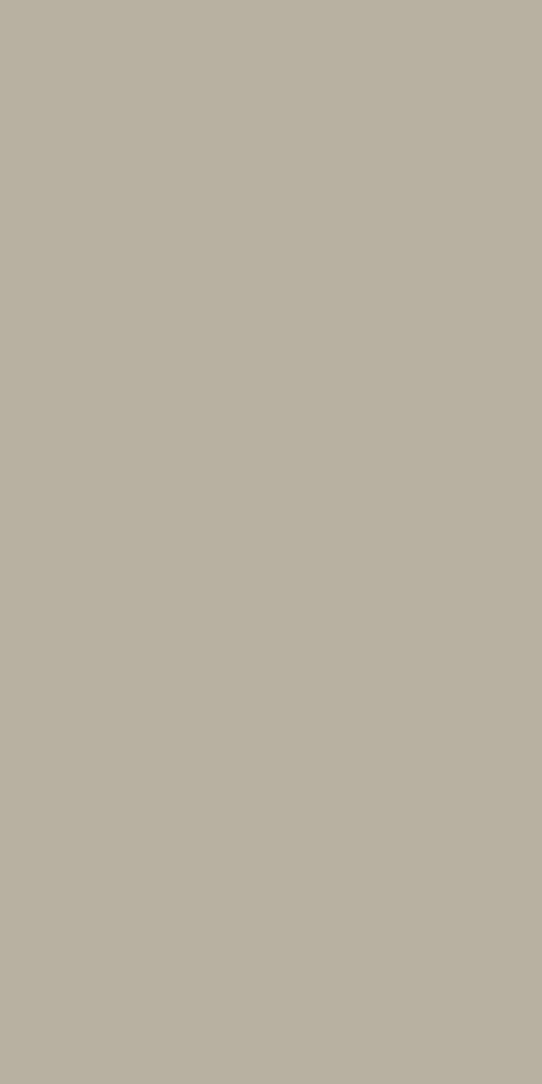 CAPPUCINO SUEDE