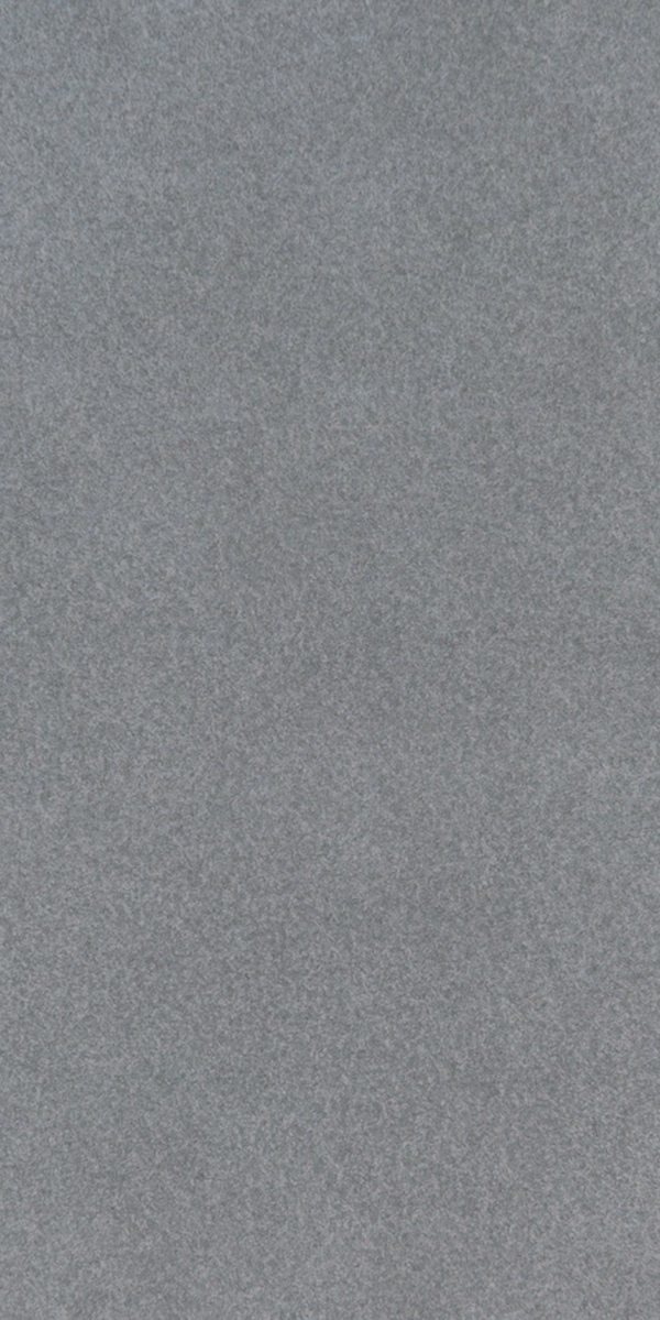 GRAPHITE PEARL SUEDE