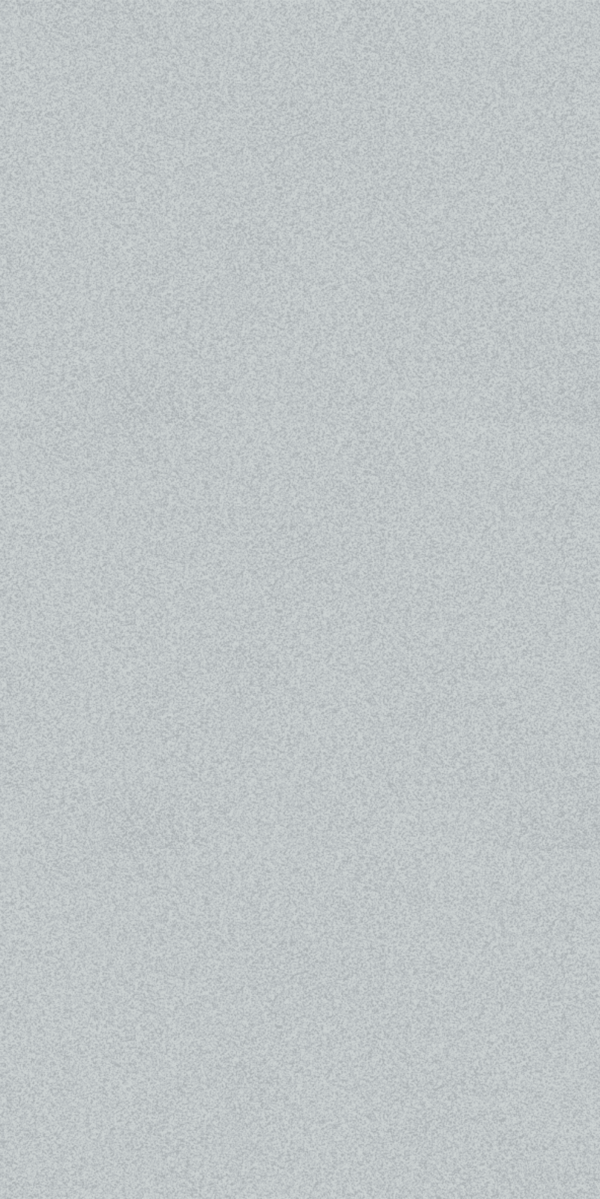 METALLIC SILVER MATT