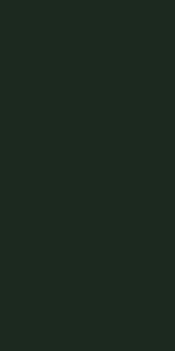 MOSS GREEN MATT