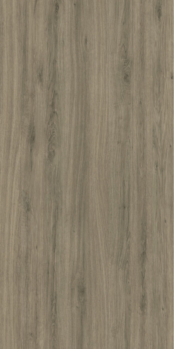 NEPAL CHESTNUT