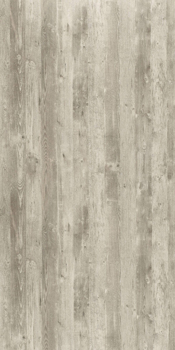 NICOLO PINE