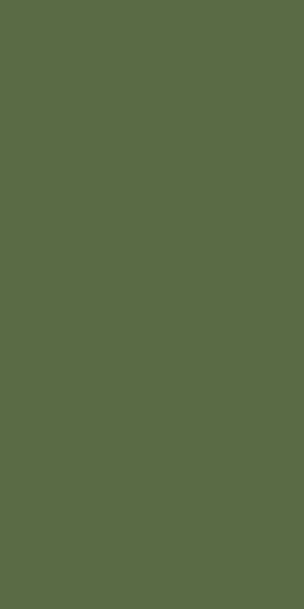OLIVE GREEN AF