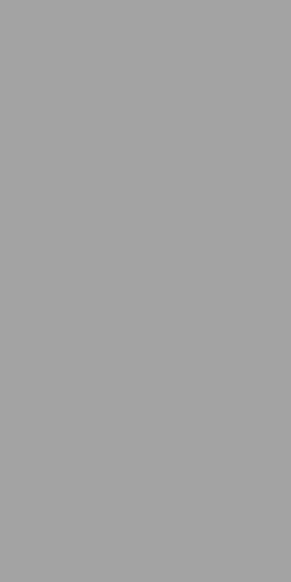 SLATE SUEDE