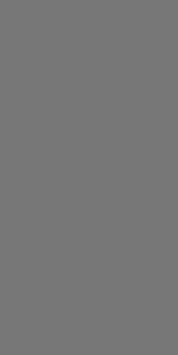 STONE GREY PREMIER MATT