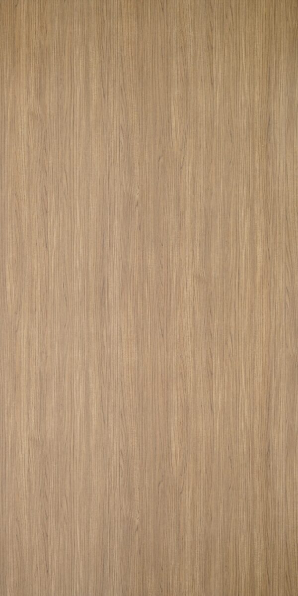 BARCE OAK