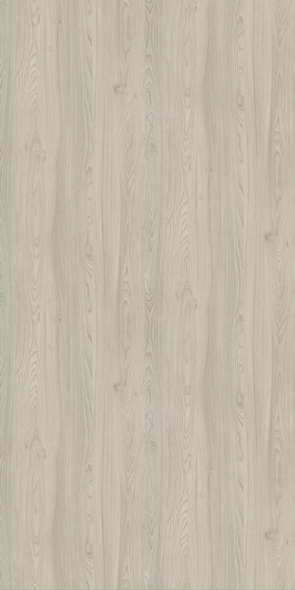 SFORZA MATA OAK