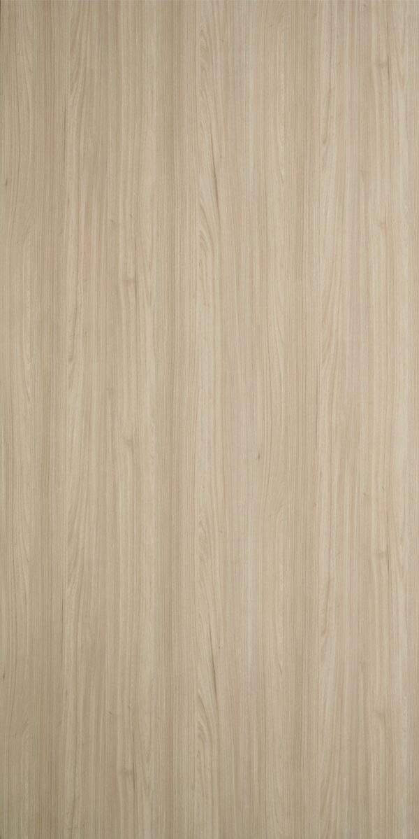GAUL ELM