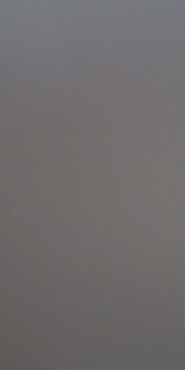COSMOS GREY