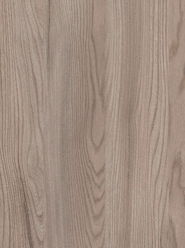HOKAIDO ELM