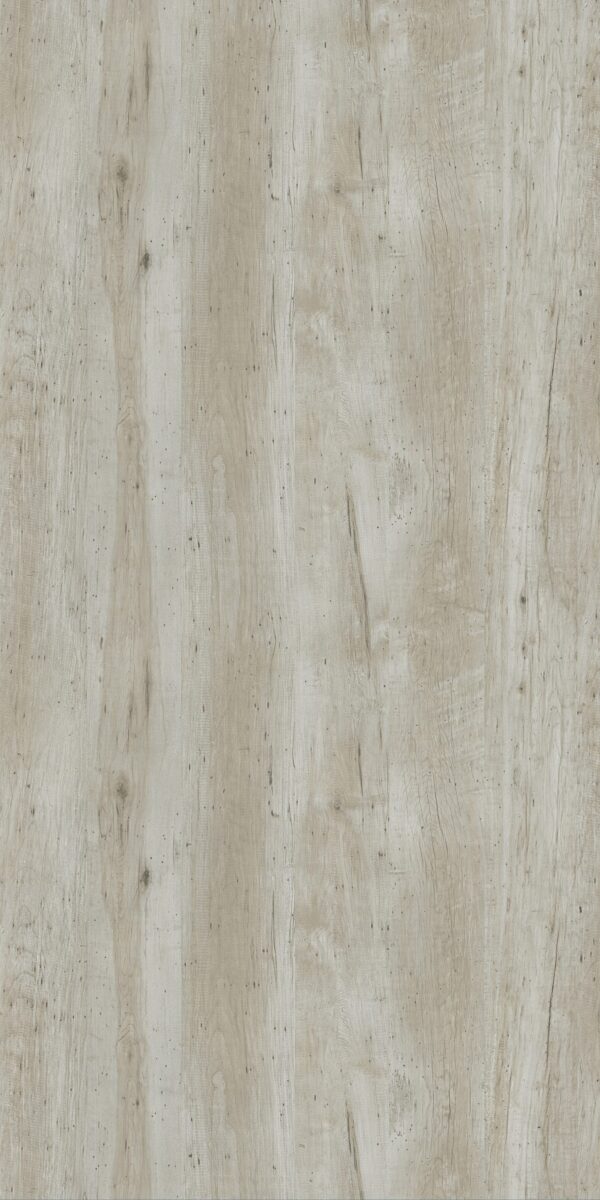 ACER MAPLE SM