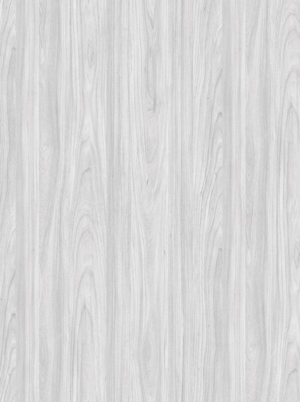SWISS ELM LIGHT