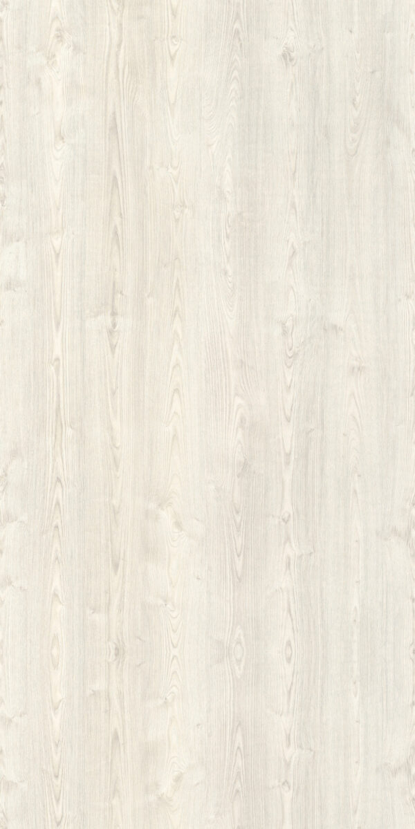 WHITE CHESTNUT