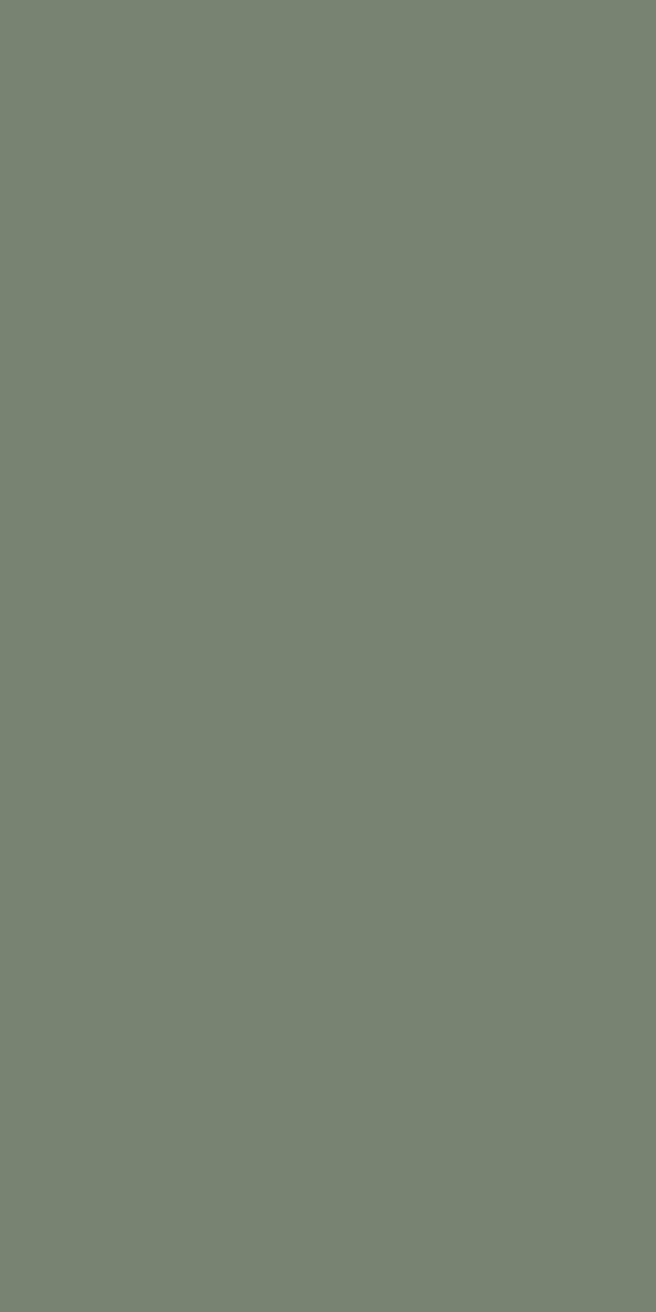 SAGE GREEN MATT